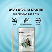 באנדל 3 יחידות - מנטה בוסט